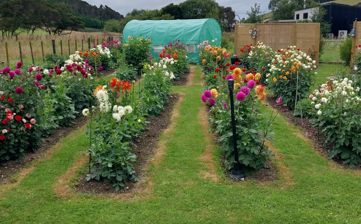 Sweet As Blooms Garden