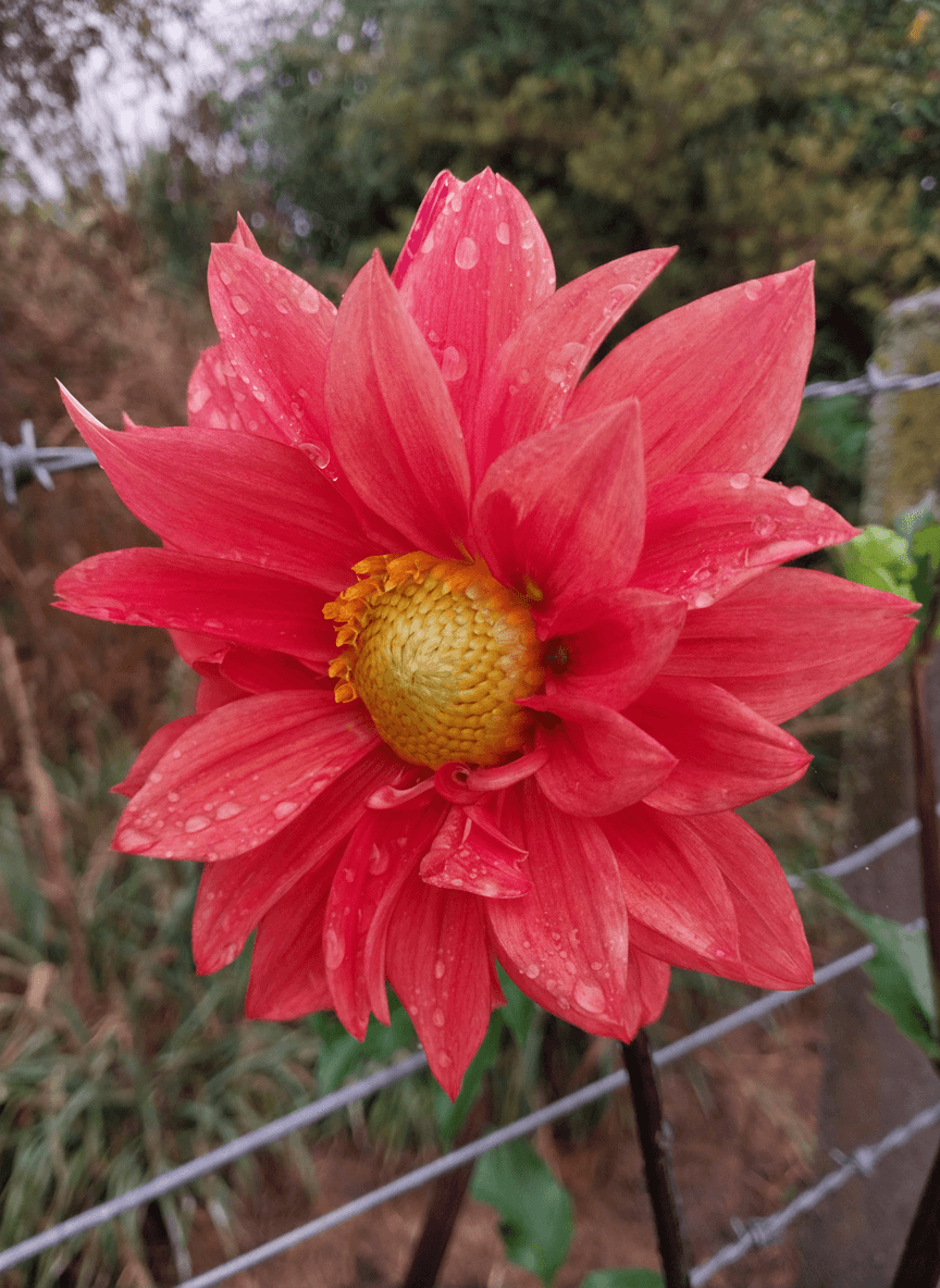 Ponatahi Sunset view 2