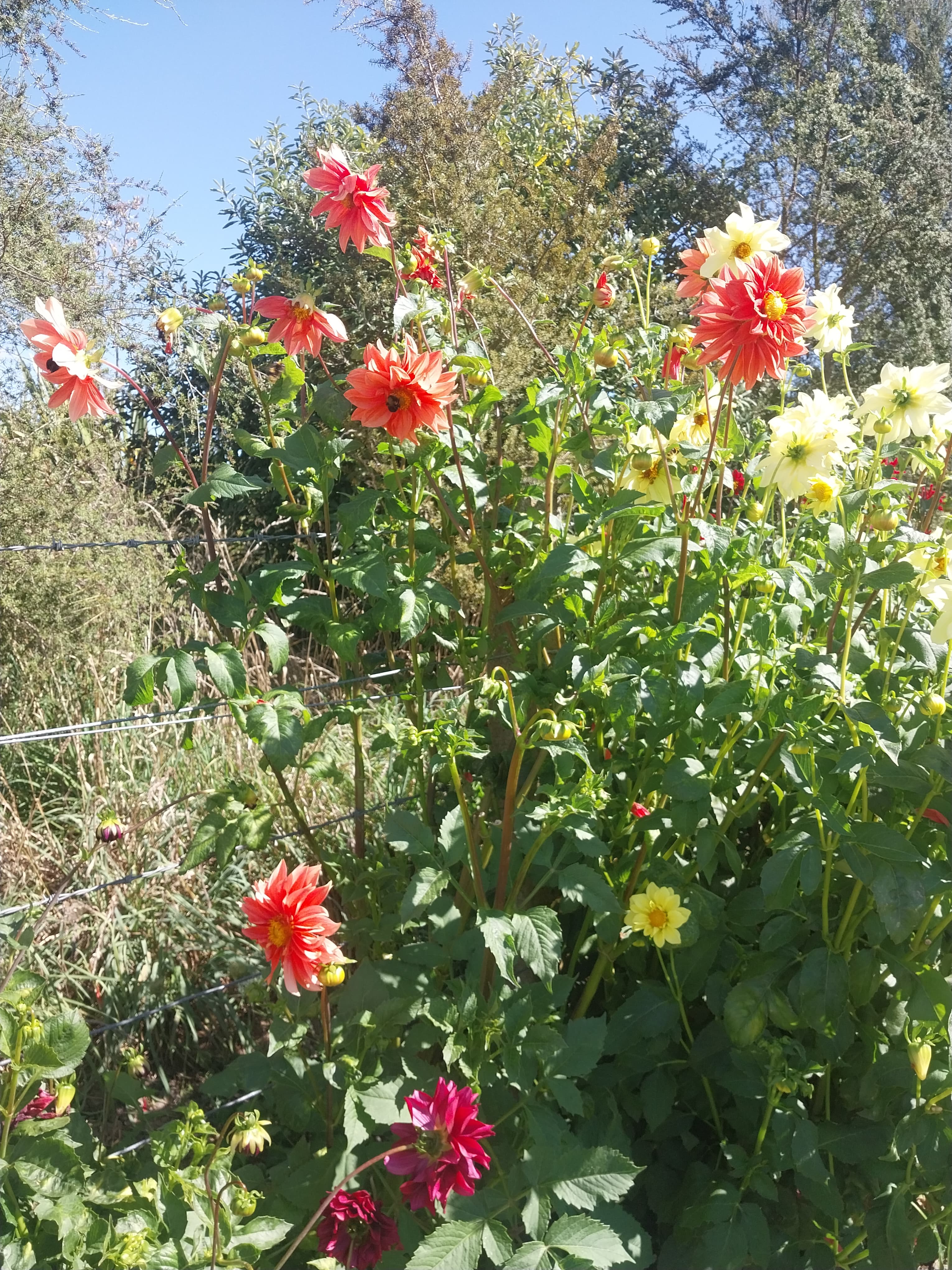 Ponatahi Sunset view 3