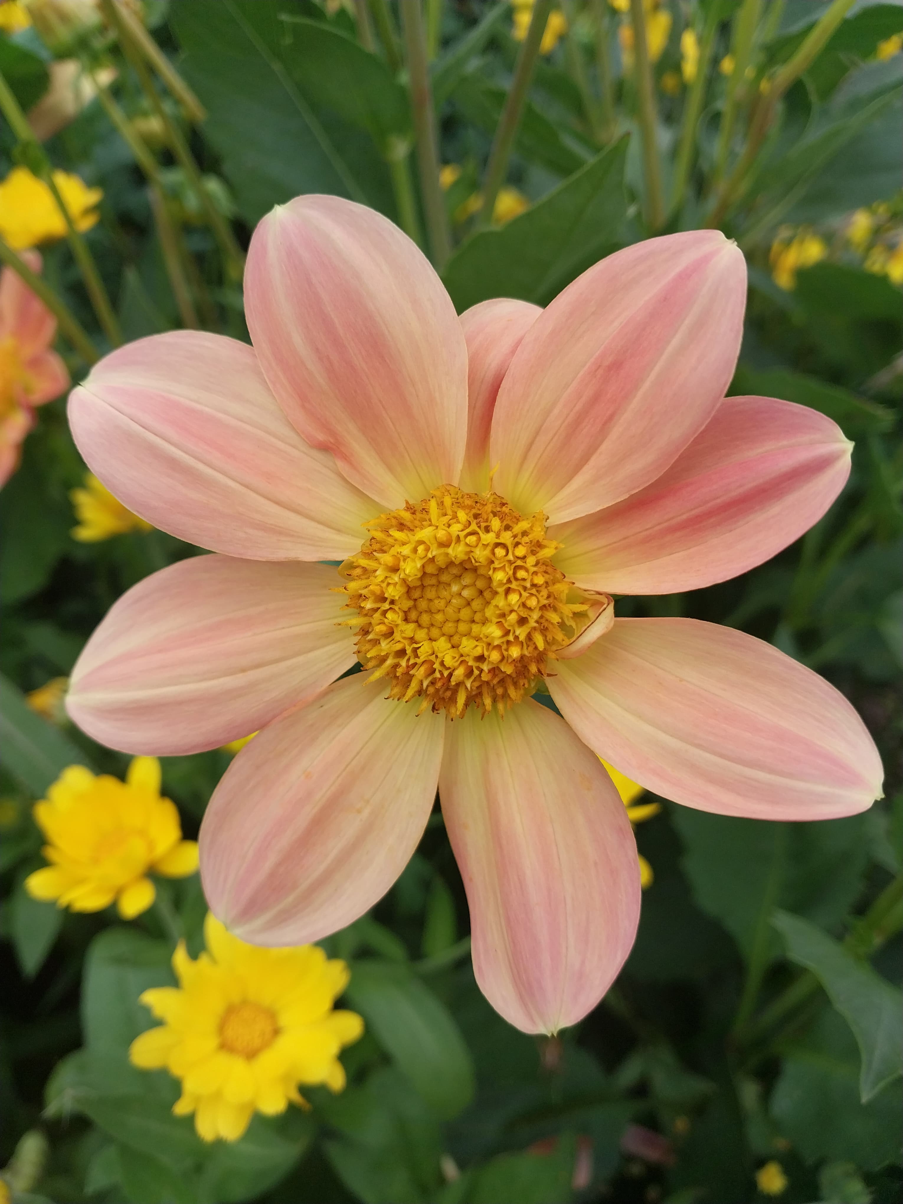 Soft Sunrise Glow view 2