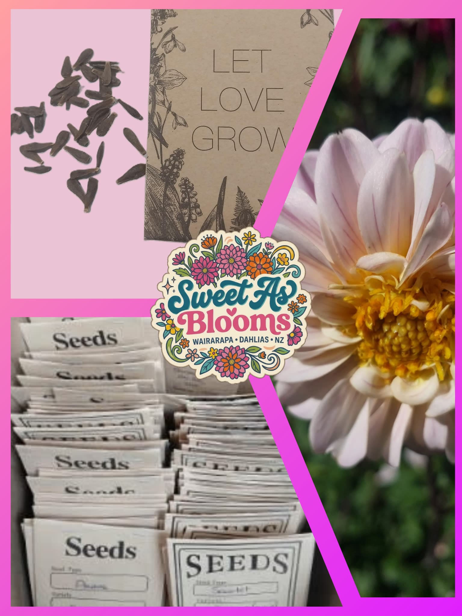 Seeds - Sweet As "Pink Puff"