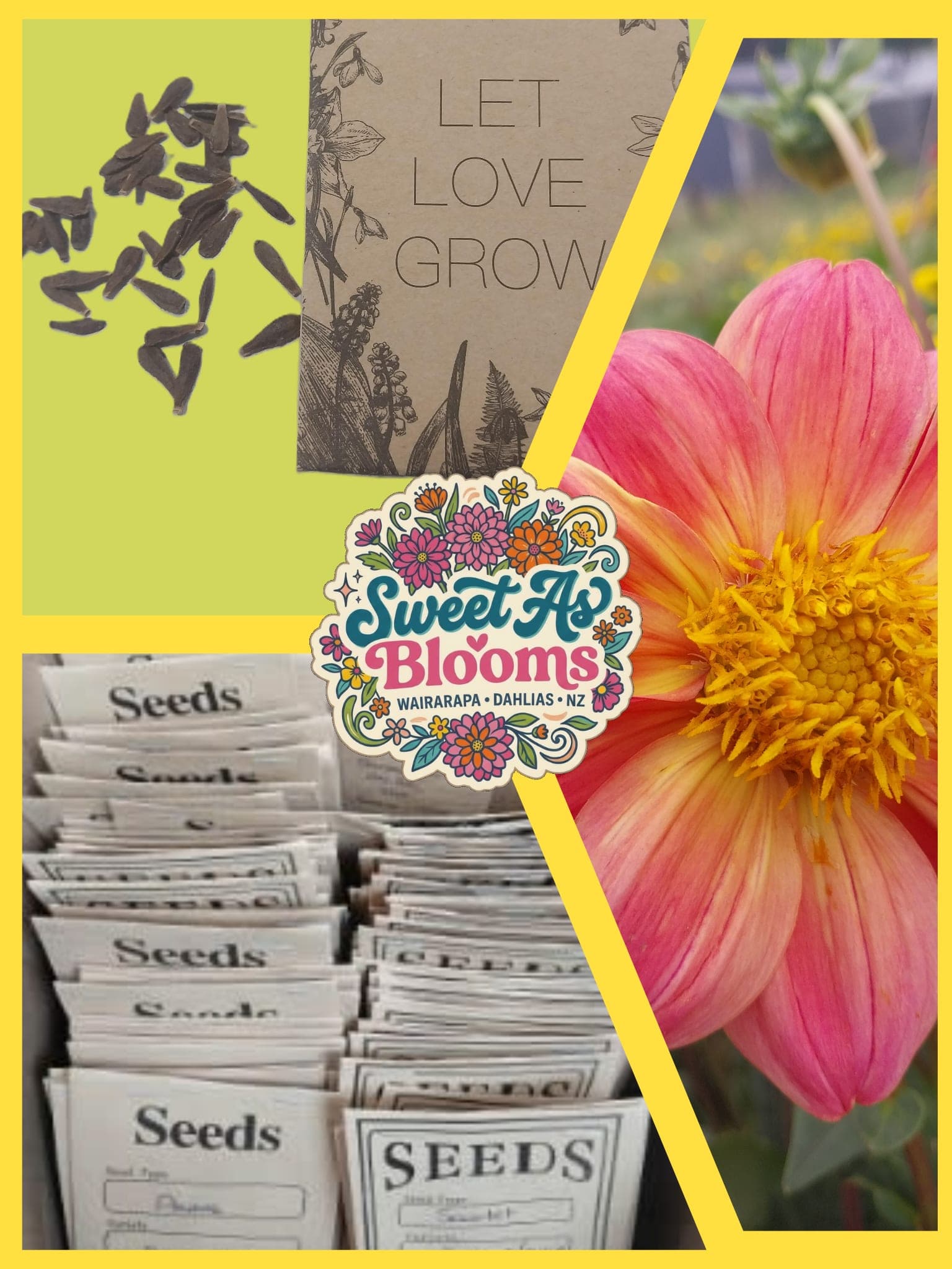 Seeds - Sweet As "Sunrise Ripple"